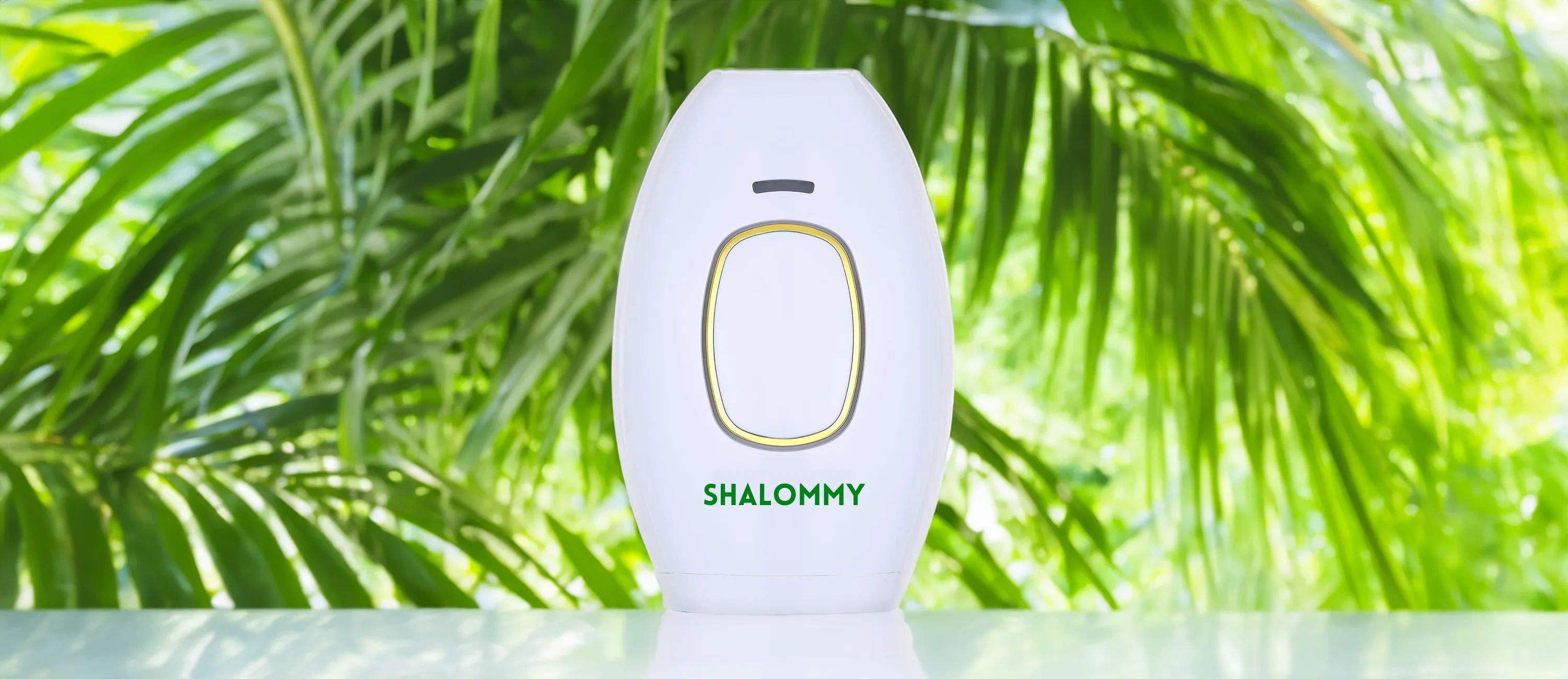 Shalommy Banner Desktop Image 1 Banner Shalommy